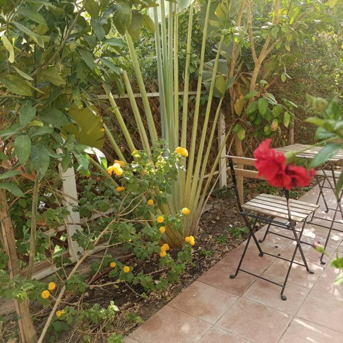 Apartament Eilat Stone Terrace-אילת סטון טראס Zewnętrze zdjęcie